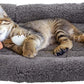 Cat & Dog Bed 10"x15" – Soft Pet Mat with Pillow, Crate/Carrier Cushion, Anti-Skid
