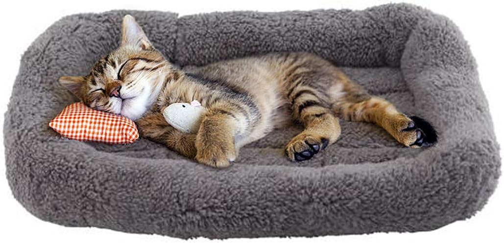 Cat & Dog Bed 10"x15" – Soft Pet Mat with Pillow, Crate/Carrier Cushion, Anti-Skid