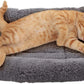 Cat & Dog Bed 10"x15" – Soft Pet Mat with Pillow, Crate/Carrier Cushion, Anti-Skid