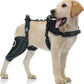 Majos Mart Dog Knee Brace M Size – Adjustable Support for ACL Tear, Patella & Recovery