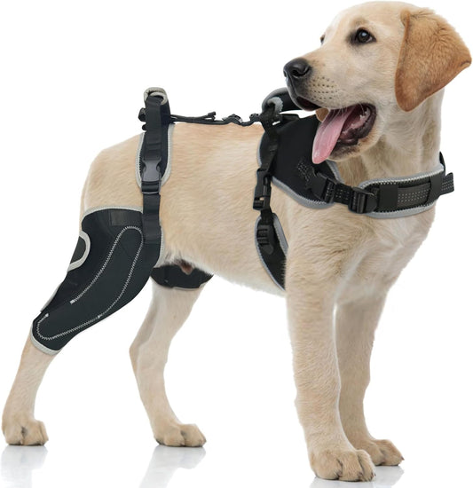 Majos Mart Dog Knee Brace M Size – Adjustable Support for ACL Tear, Patella & Recovery