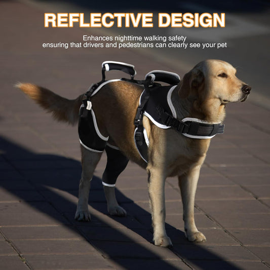 Majos Mart Dog Knee Brace M Size – Adjustable Support for ACL Tear, Patella & Recovery
