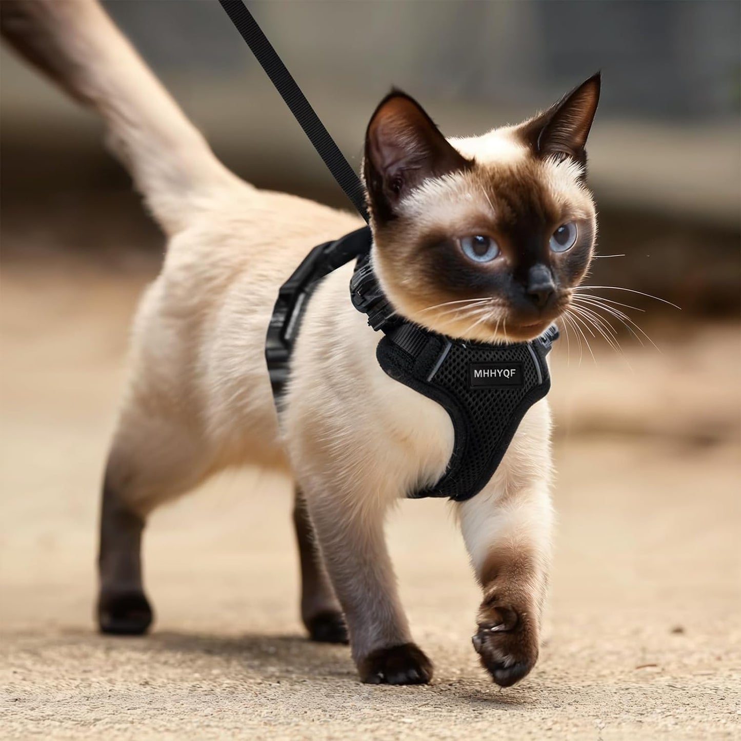 Cat Harness and Leash Set – Escape Proof, Adjustable Vest with Reflective Strips, S