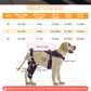 Majos Mart Dog Knee Brace M Size – Adjustable Support for ACL Tear, Patella & Recovery