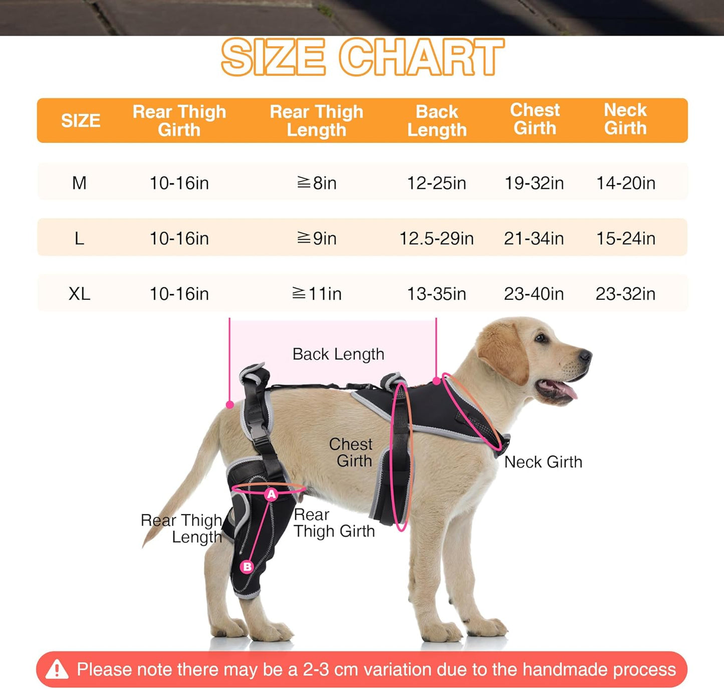 Majos Mart Dog Knee Brace M Size – Adjustable Support for ACL Tear, Patella & Recovery