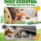 Durable Dog Chew Toys 3 Pack – Squeaky, No Stuffing, for Small & Medium Dogs