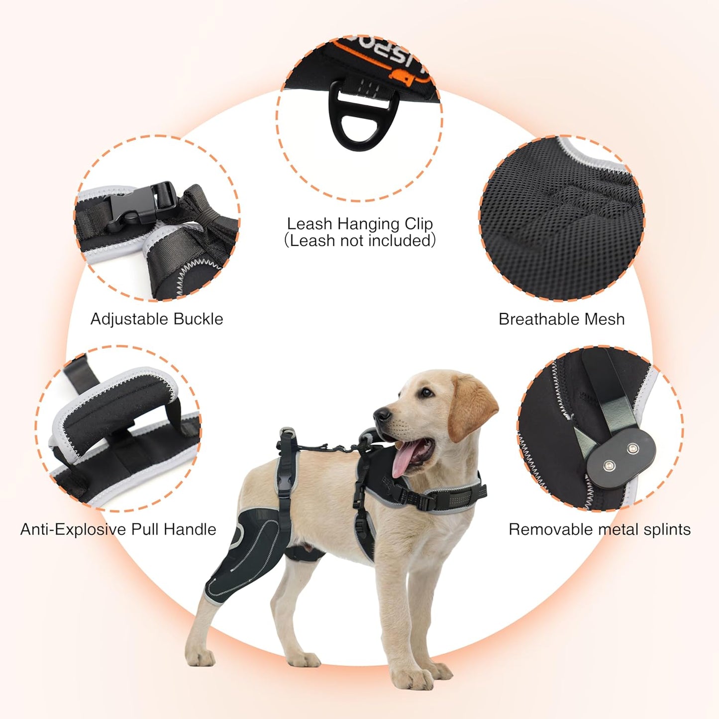 Majos Mart Dog Knee Brace M Size – Adjustable Support for ACL Tear, Patella & Recovery