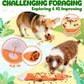 Durable Dog Chew Toys 3 Pack – Squeaky, No Stuffing, for Small & Medium Dogs